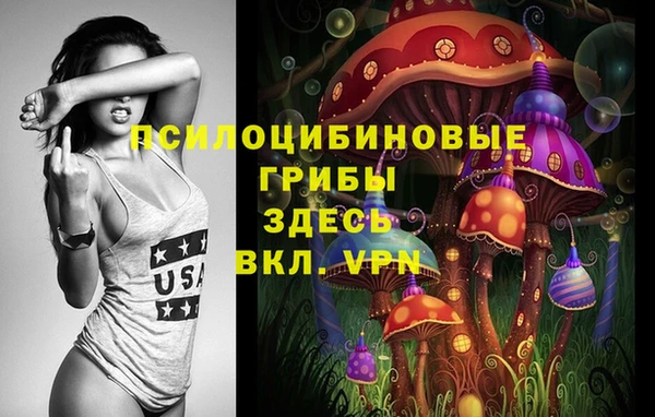 дурь Алексеевка