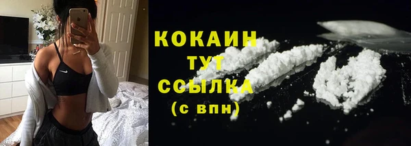 тгк Армянск